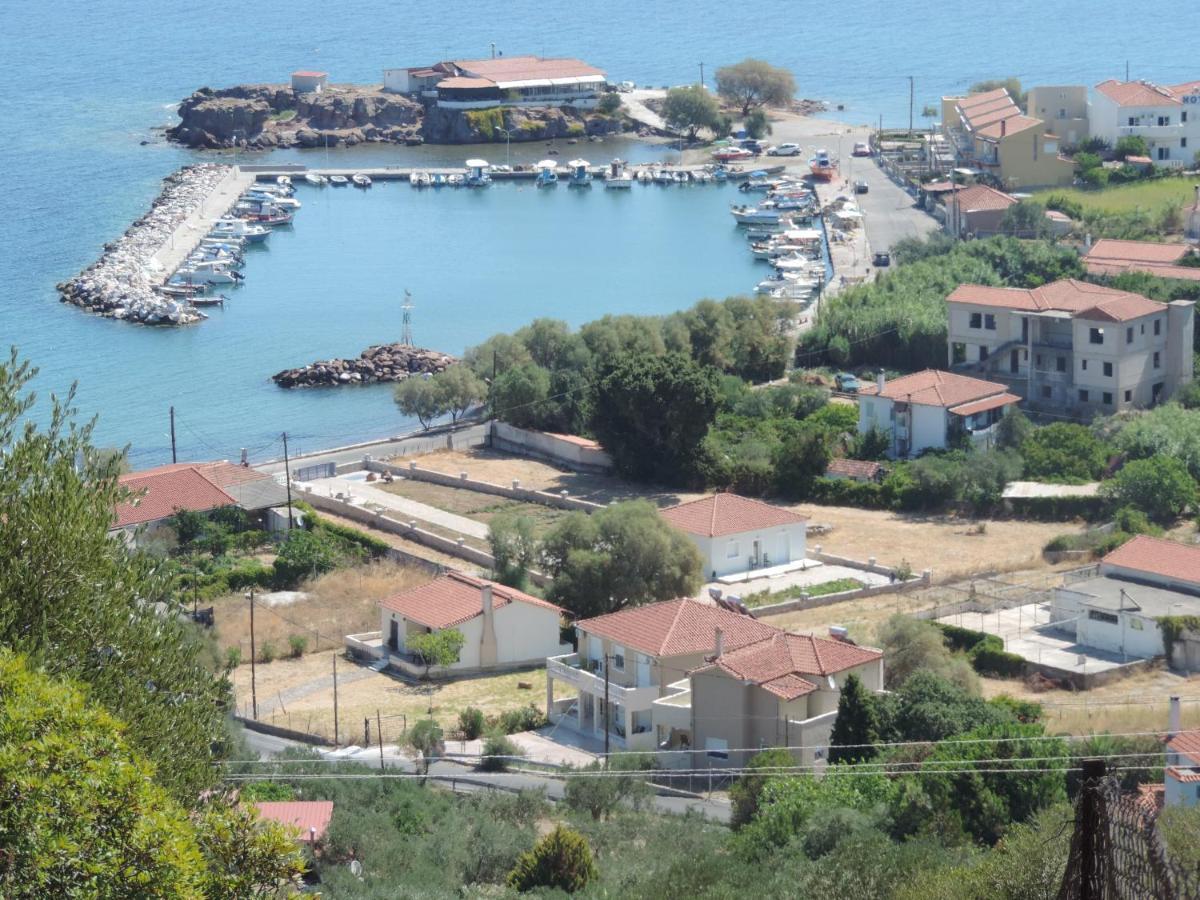 Fotis Apartments Skala Neon Kydonion Dış mekan fotoğraf