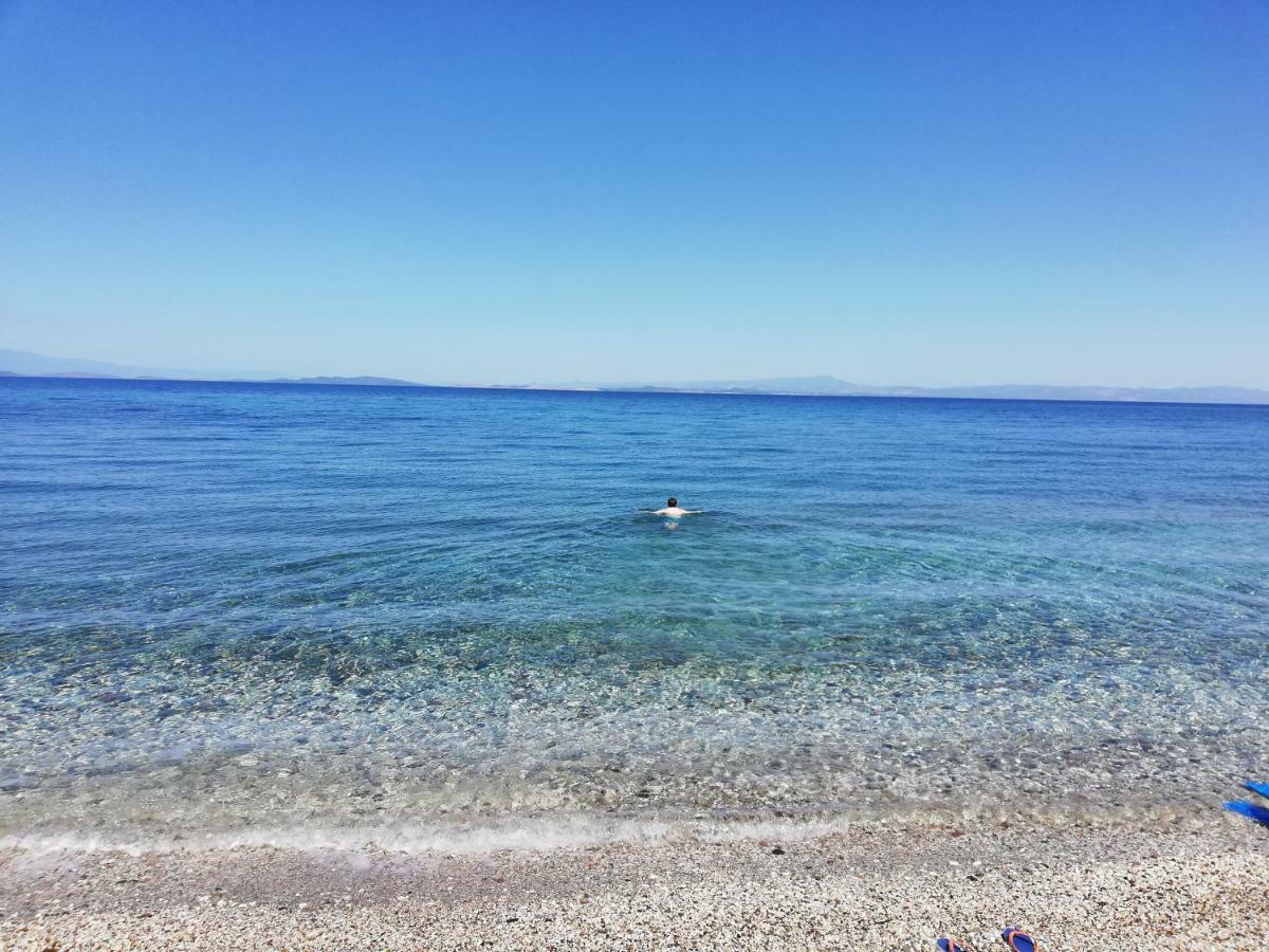 Fotis Apartments Skala Neon Kydonion Dış mekan fotoğraf