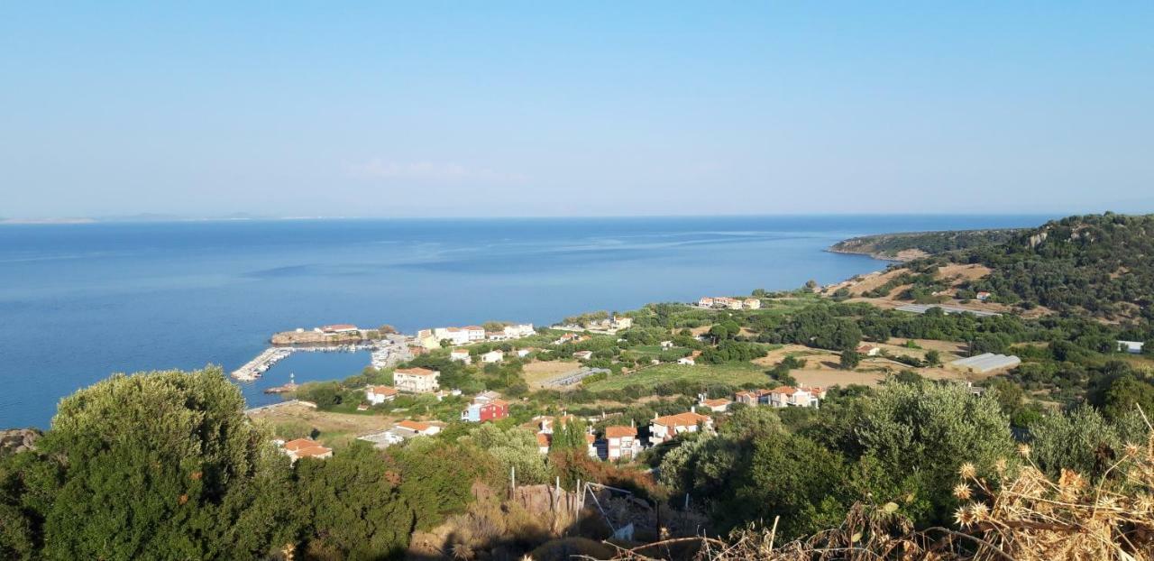 Fotis Apartments Skala Neon Kydonion Dış mekan fotoğraf